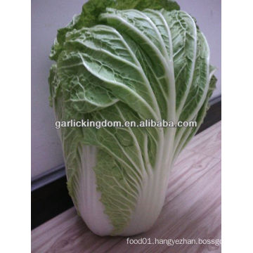 sell new crop Chinese Cabbage brother kingdom